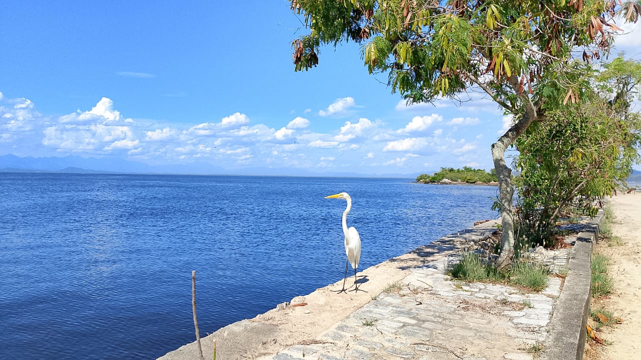 Apartamento na Praia das Gaivotas – frontal mar