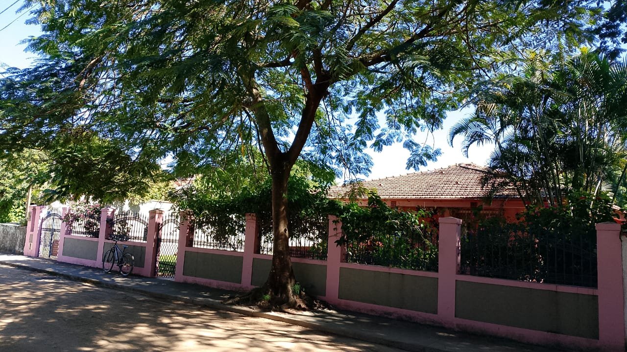 Casa com piscina, espaço gourmet e ampla área verde com árvores